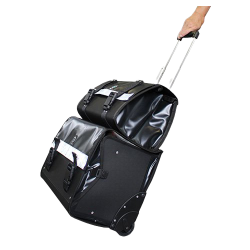 Mobile organized cart