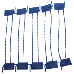 Numbered strap seal with tear-off tab