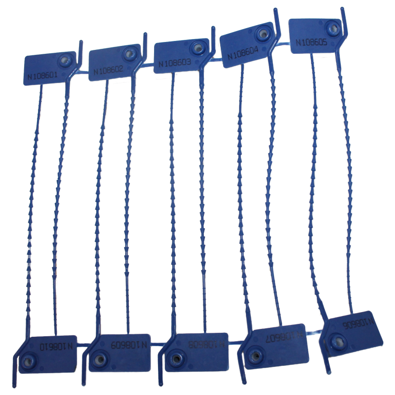 Numbered strap seal with tear-off tab