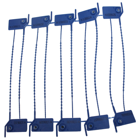 Numbered strap seal with tear-off tab