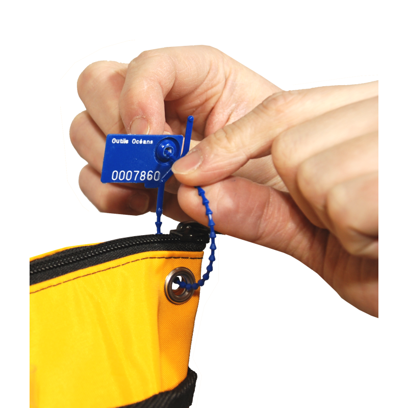 Numbered strap seal with tear-off tab