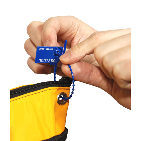 Numbered strap seal with tear-off tab