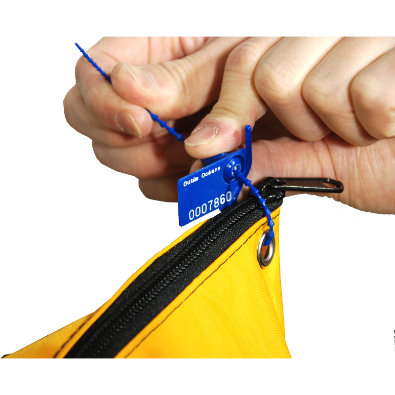 Numbered strap seal with tear-off tab