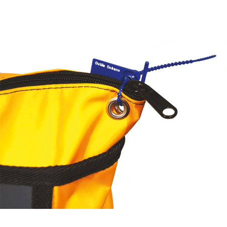 Numbered strap seal with tear-off tab