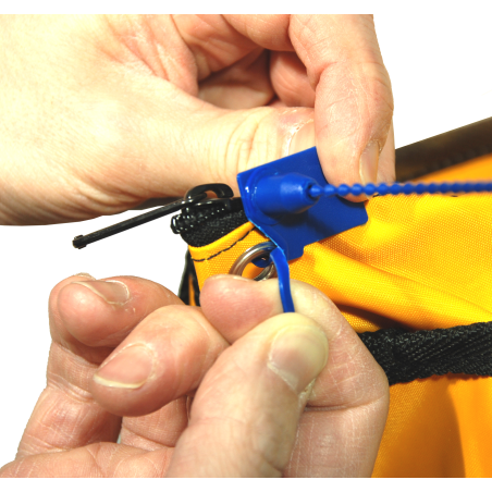 Numbered strap seal with tear-off tab