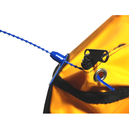 Numbered strap seal with tear-off tab