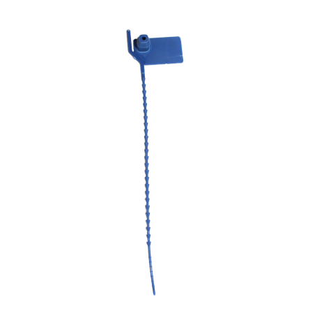 Numbered strap seal with tear-off tab