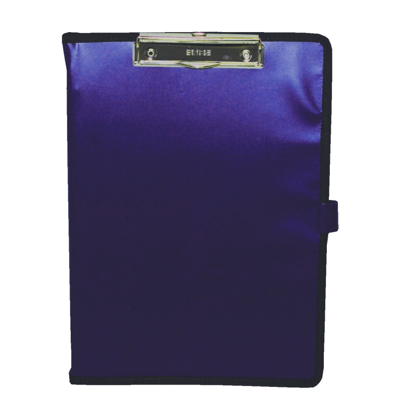 Vehicle document holder