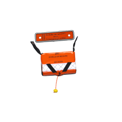 Pontoon emergency ladder