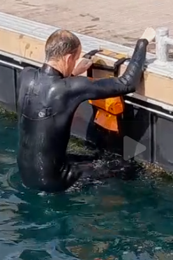 Protéger Les Personnes Remonter à Bord Echelle De Secours Magic Reboard Ponton